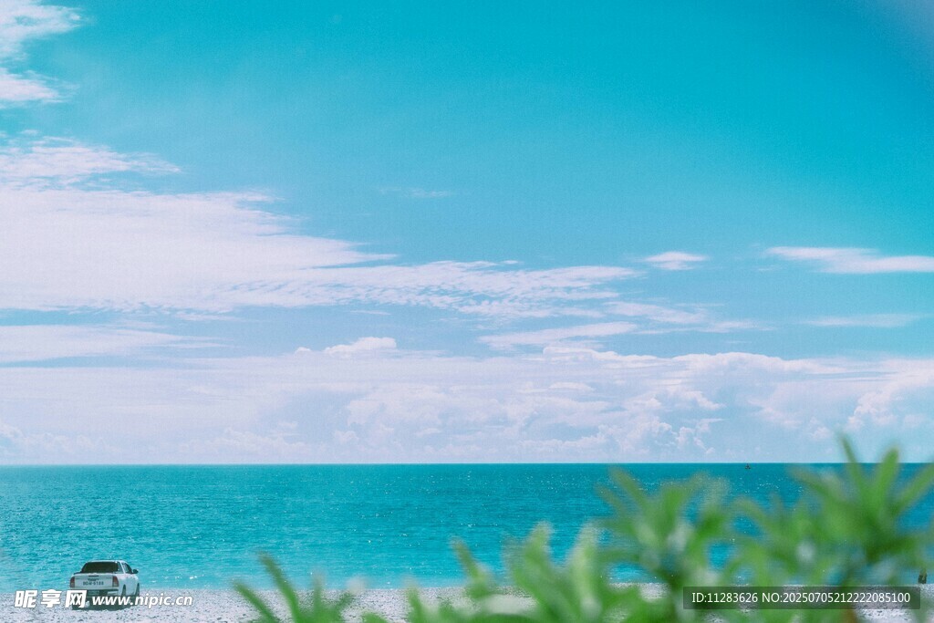 绿植与碧海蓝天