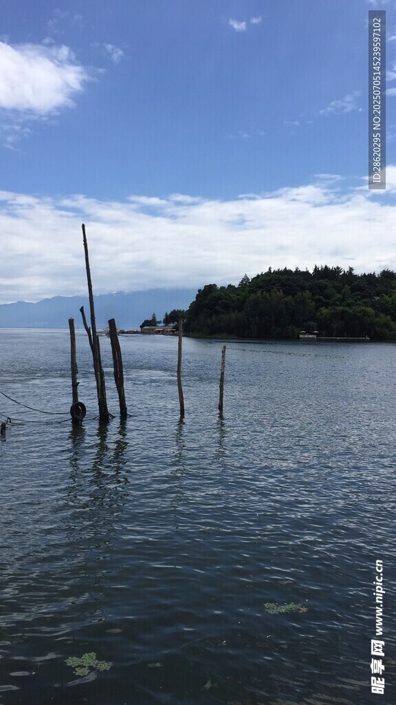 宁静水域中的木桩景观