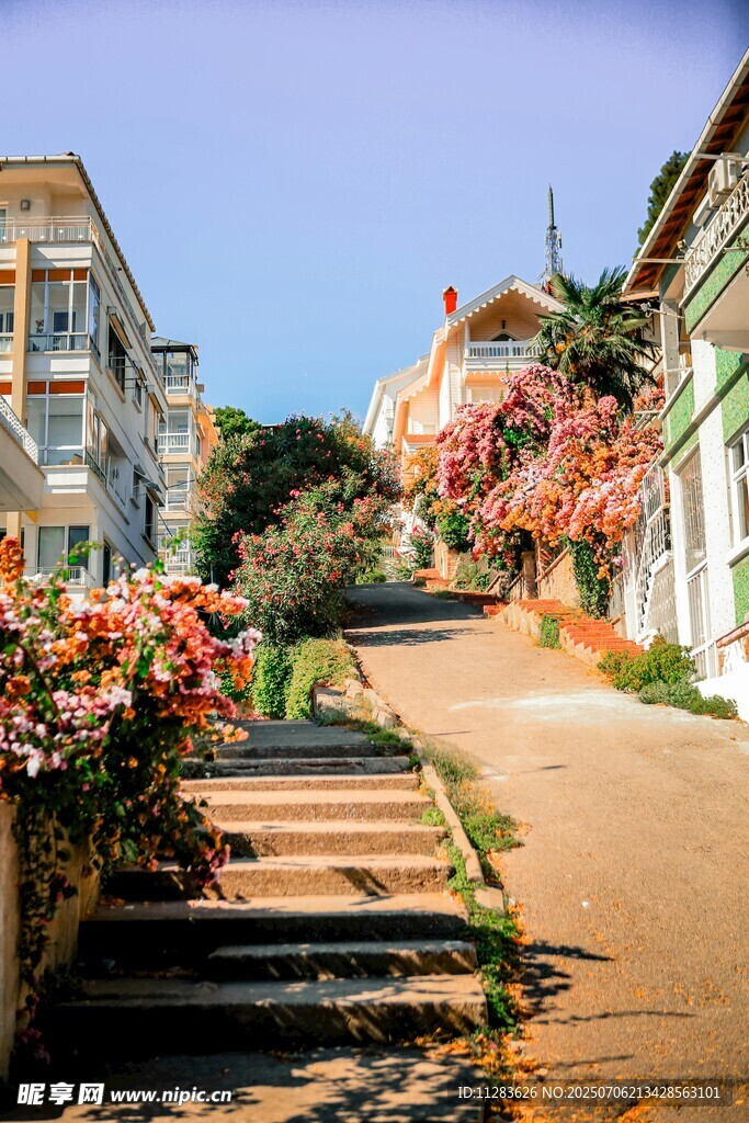 鲜花装点的宁静街道