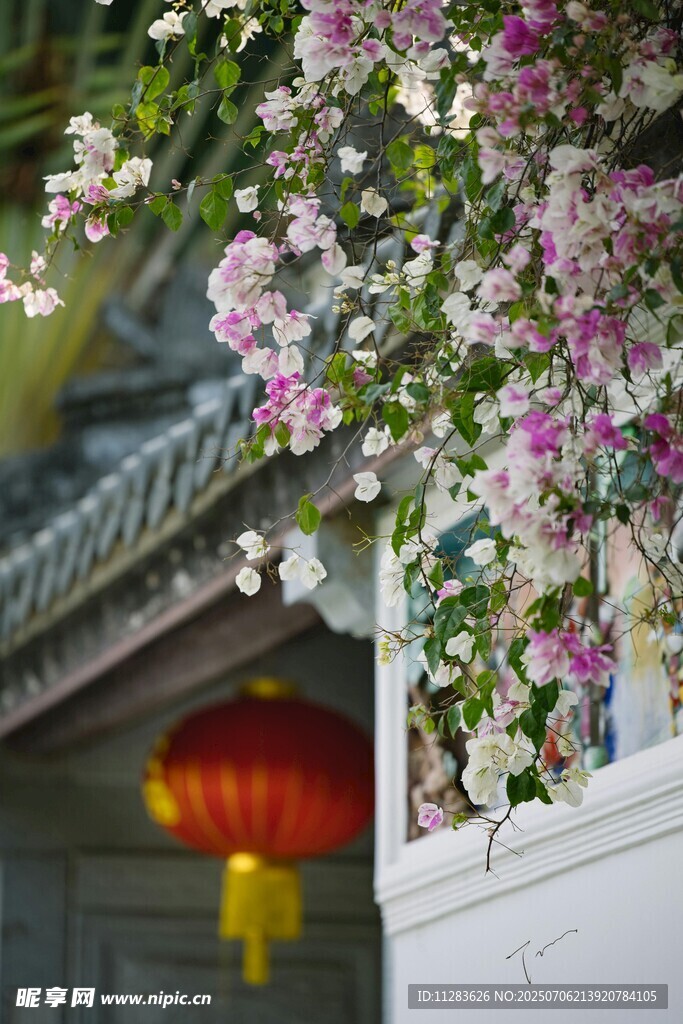 繁花下的中式灯笼景致