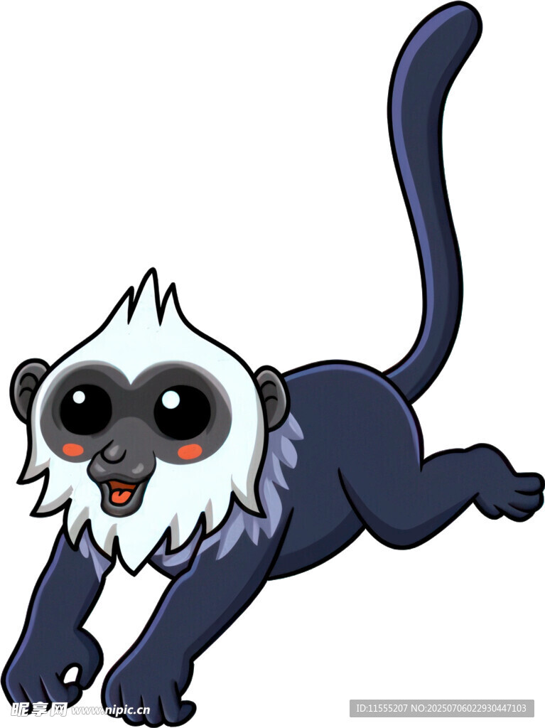 跳跃的可爱狐猴