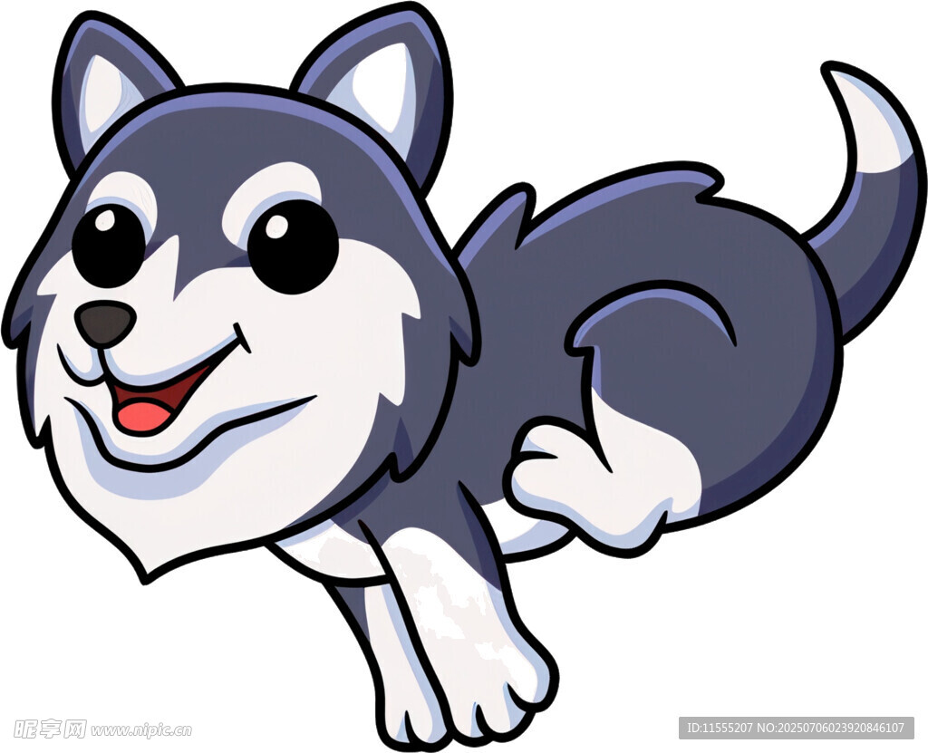 奔跑的可爱哈士奇