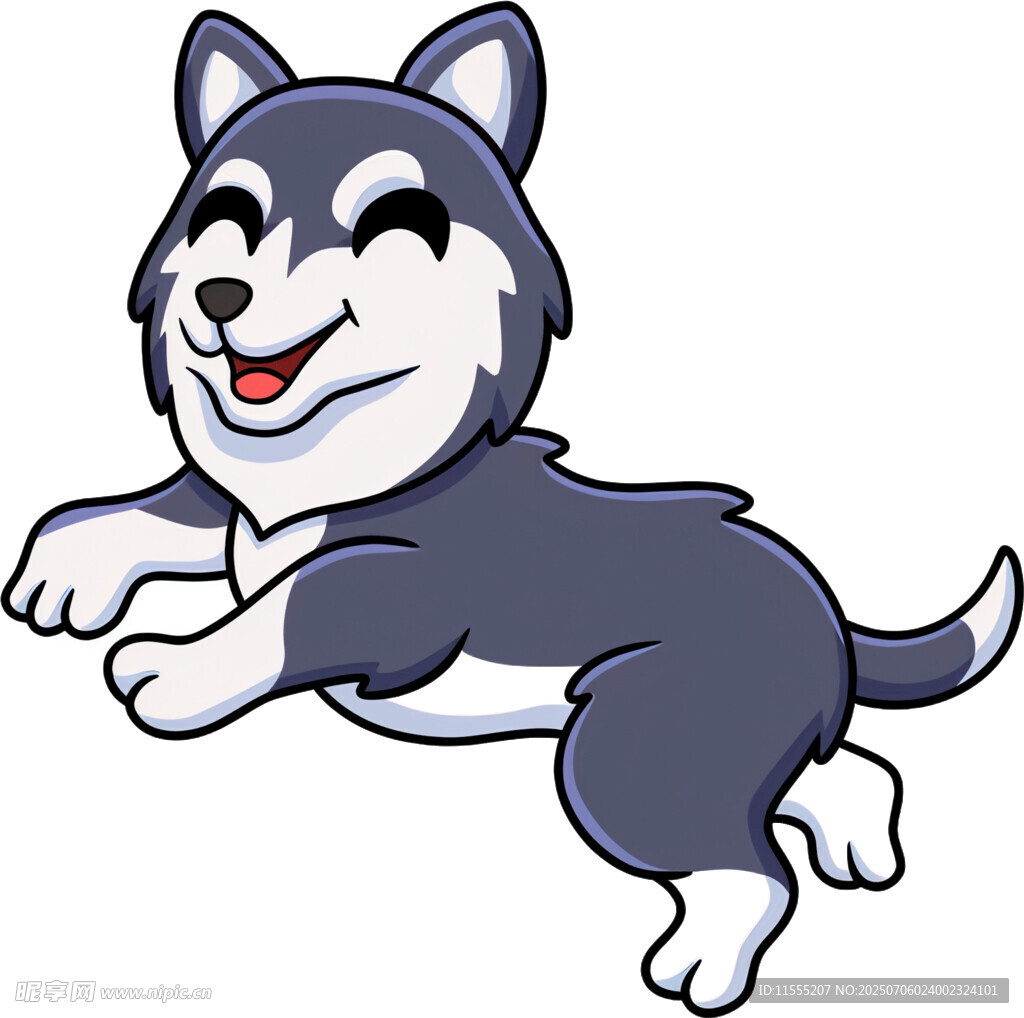 欢快跳跃的哈士奇