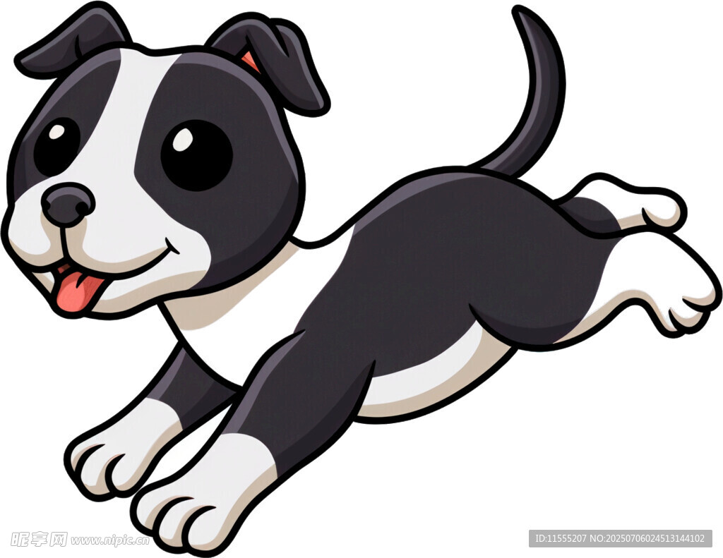奔跑的可爱黑白小狗