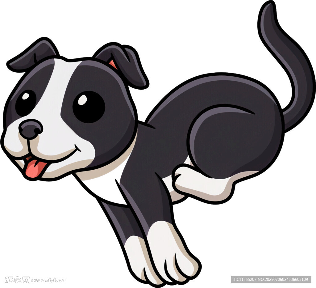 跳跃的黑白小狗