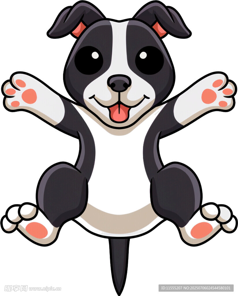 跳跃的可爱黑白小狗