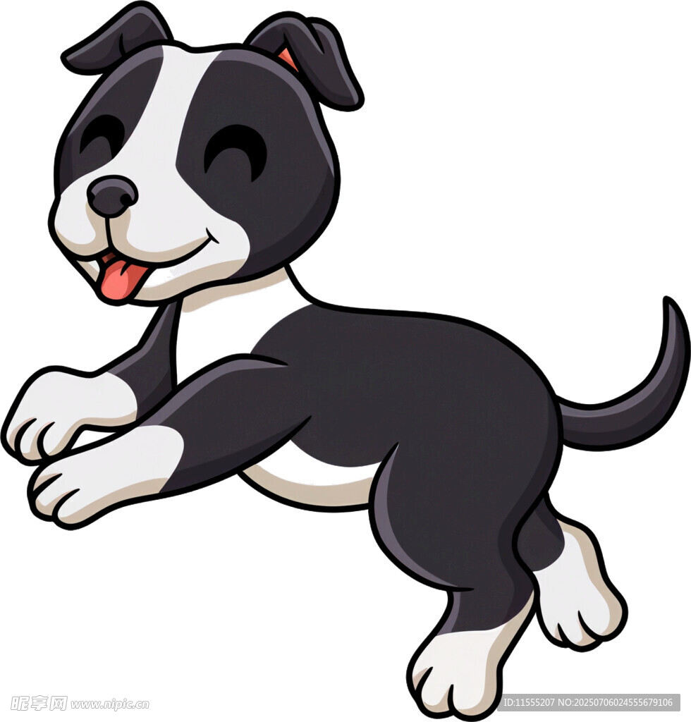 跳跃的可爱黑白小狗