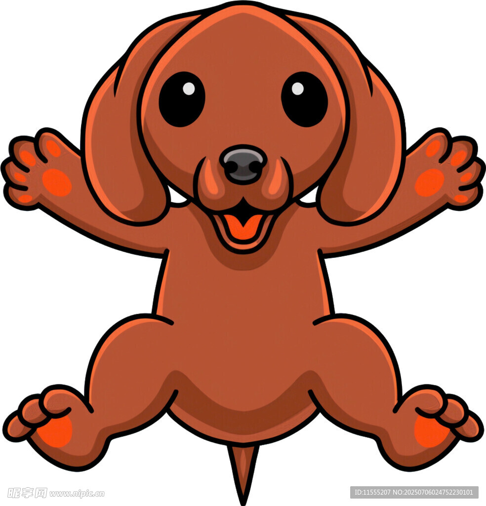 可爱棕色腊肠犬张开手脚