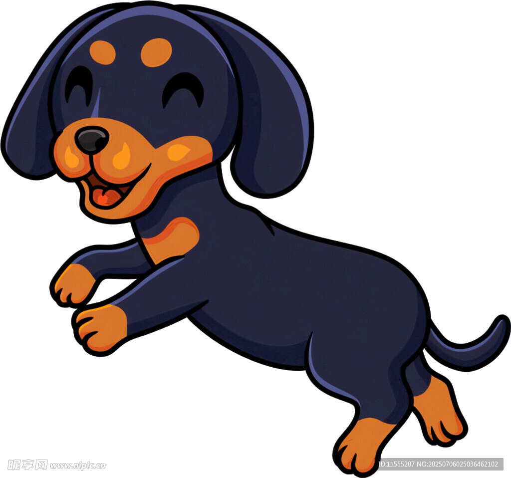 跳跃的可爱腊肠犬