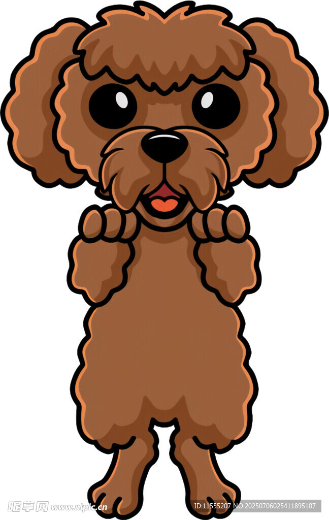 可爱站立泰迪犬