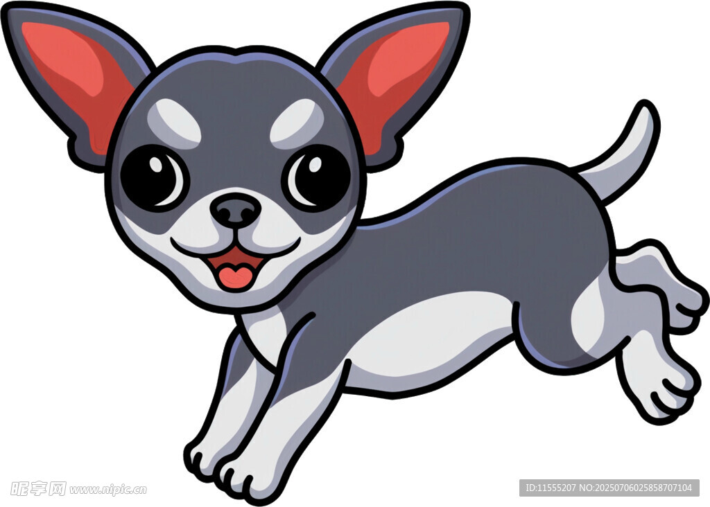 奔跑的吉娃娃小狗