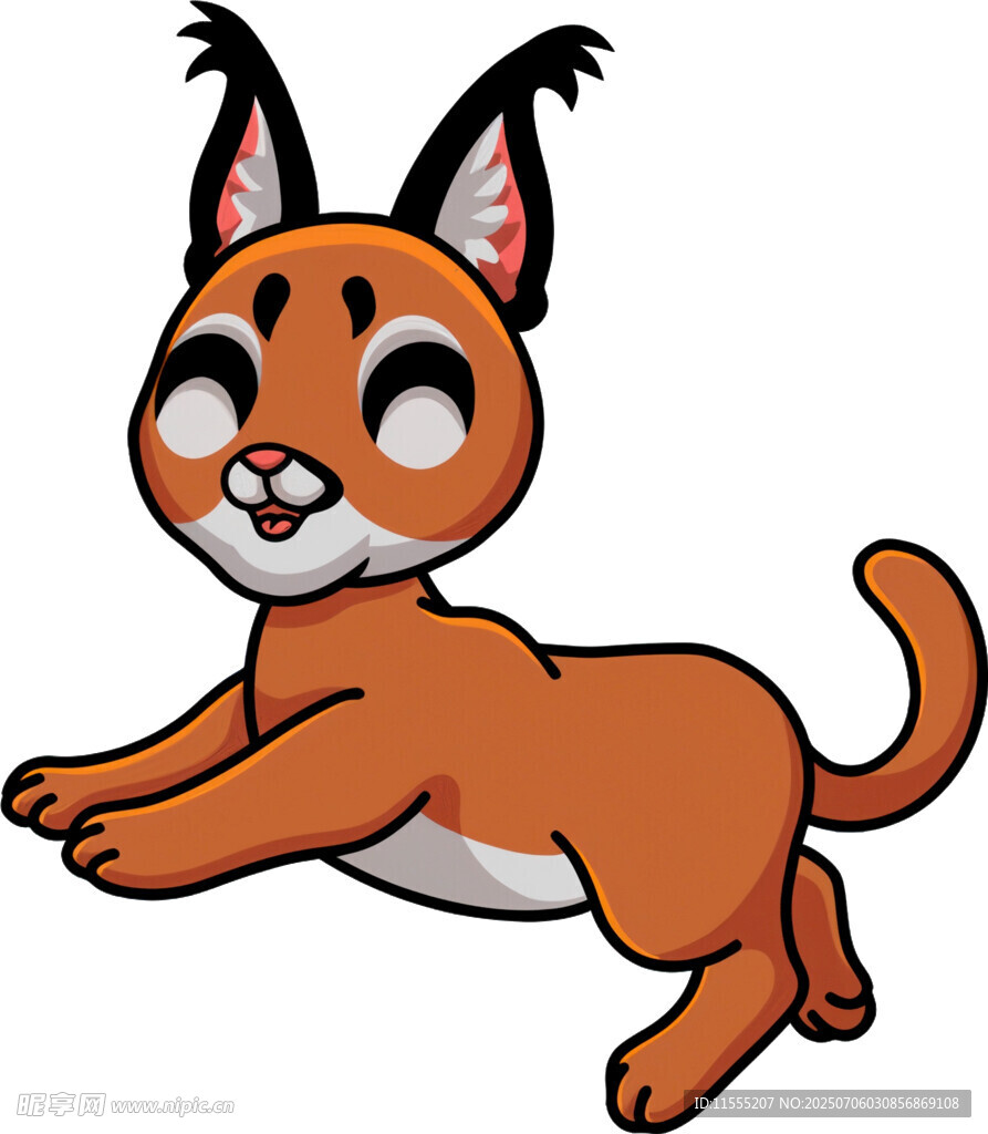 跳跃的可爱小猞猁