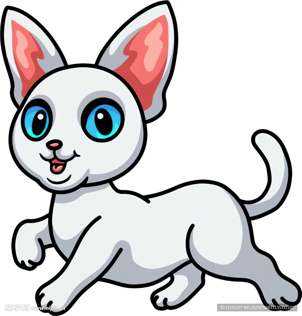 奔跑的可爱小白猫