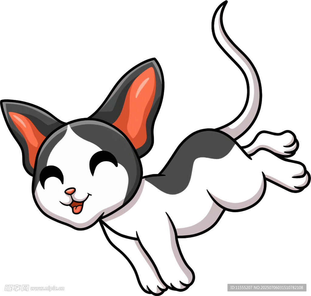 跳跃的可爱黑白猫咪
