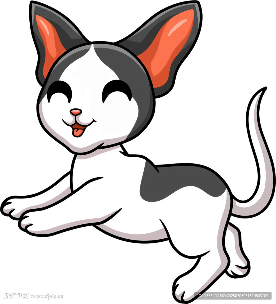 跳跃的可爱黑白猫咪