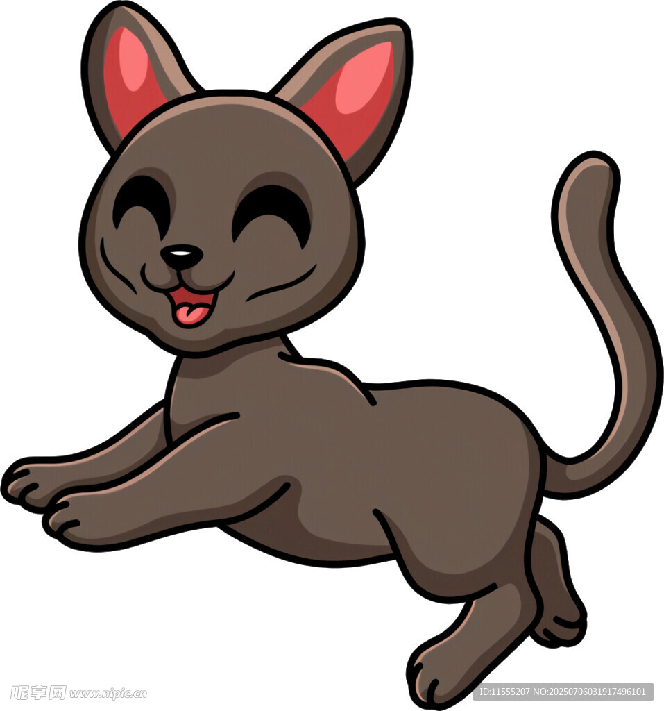 可爱黑猫欢快奔跑