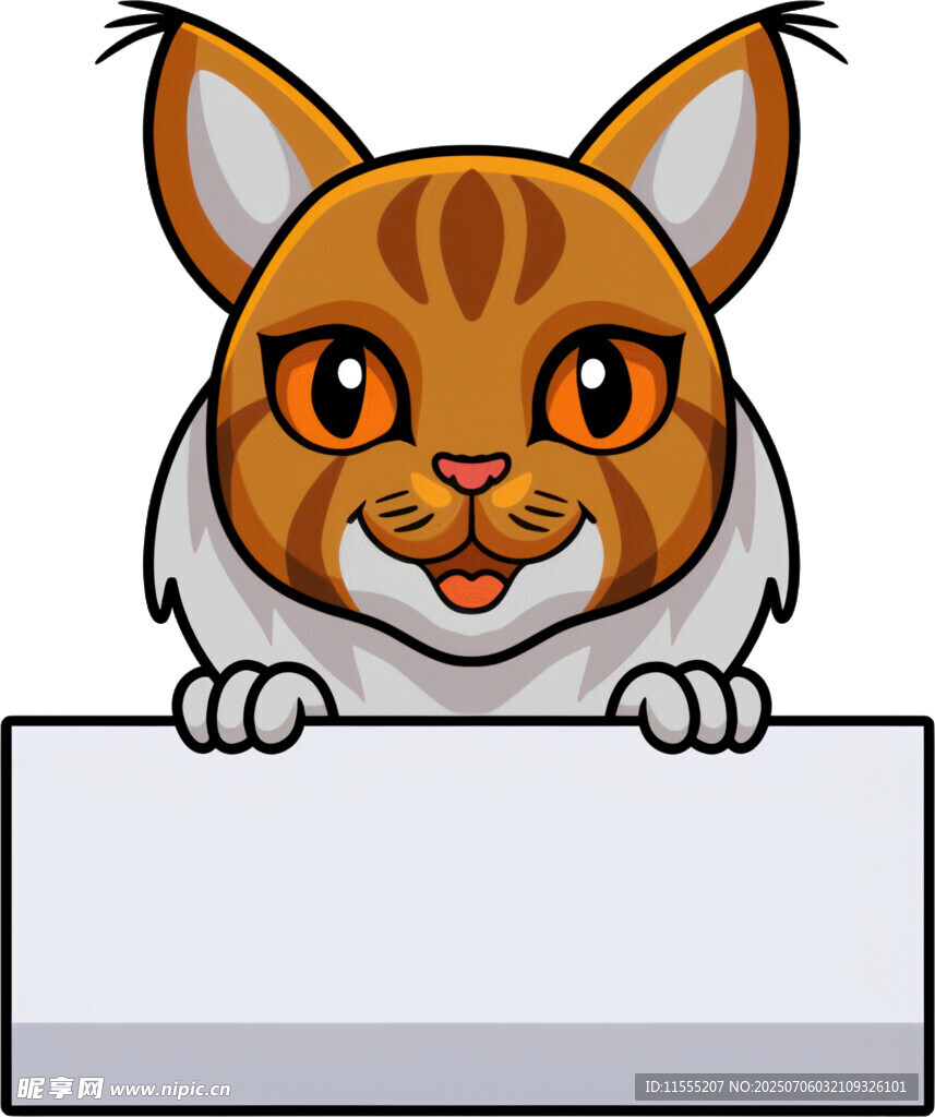 可爱猫咪探身白板前