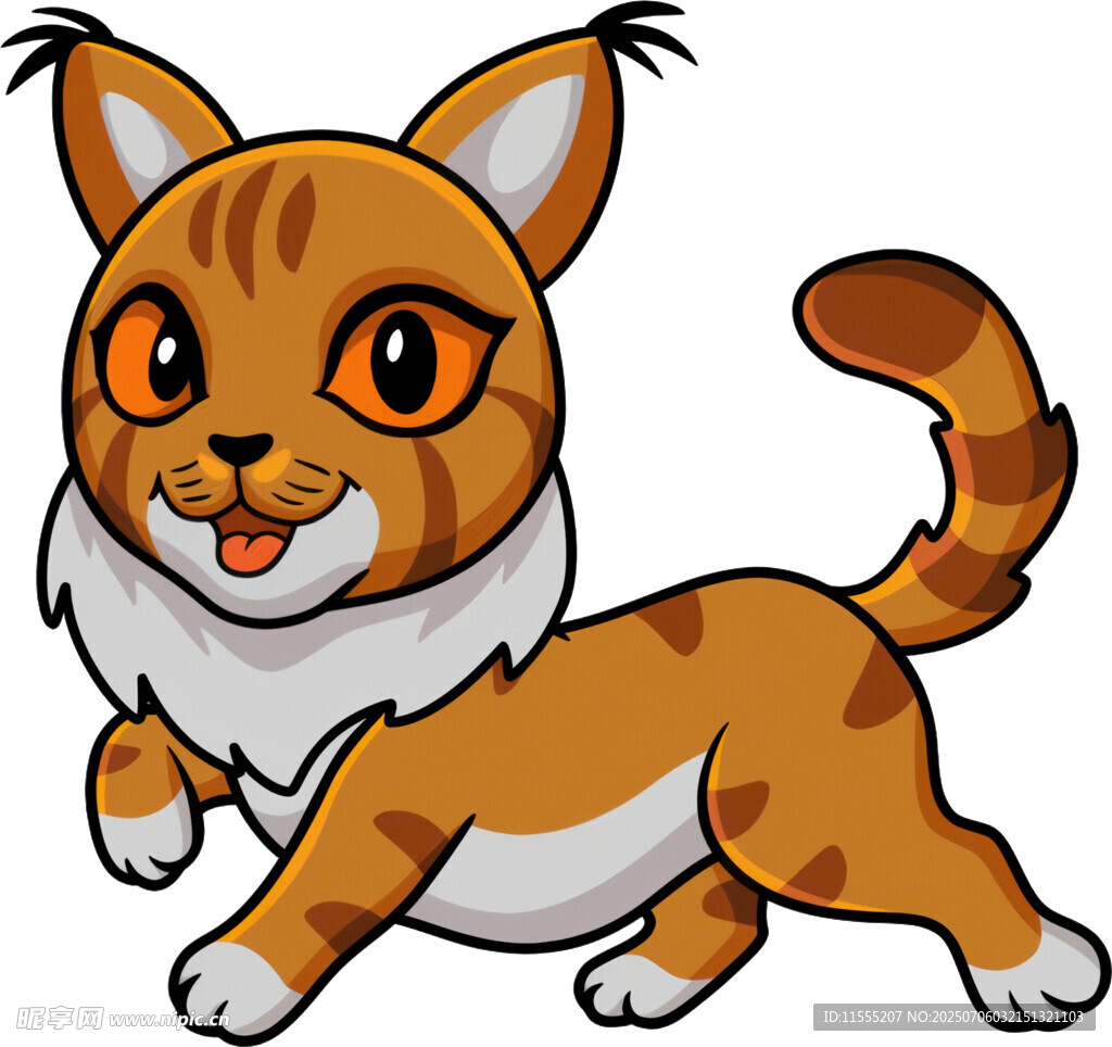 奔跑的可爱橘白猫咪