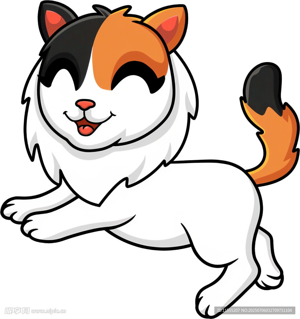 奔跑的可爱花猫