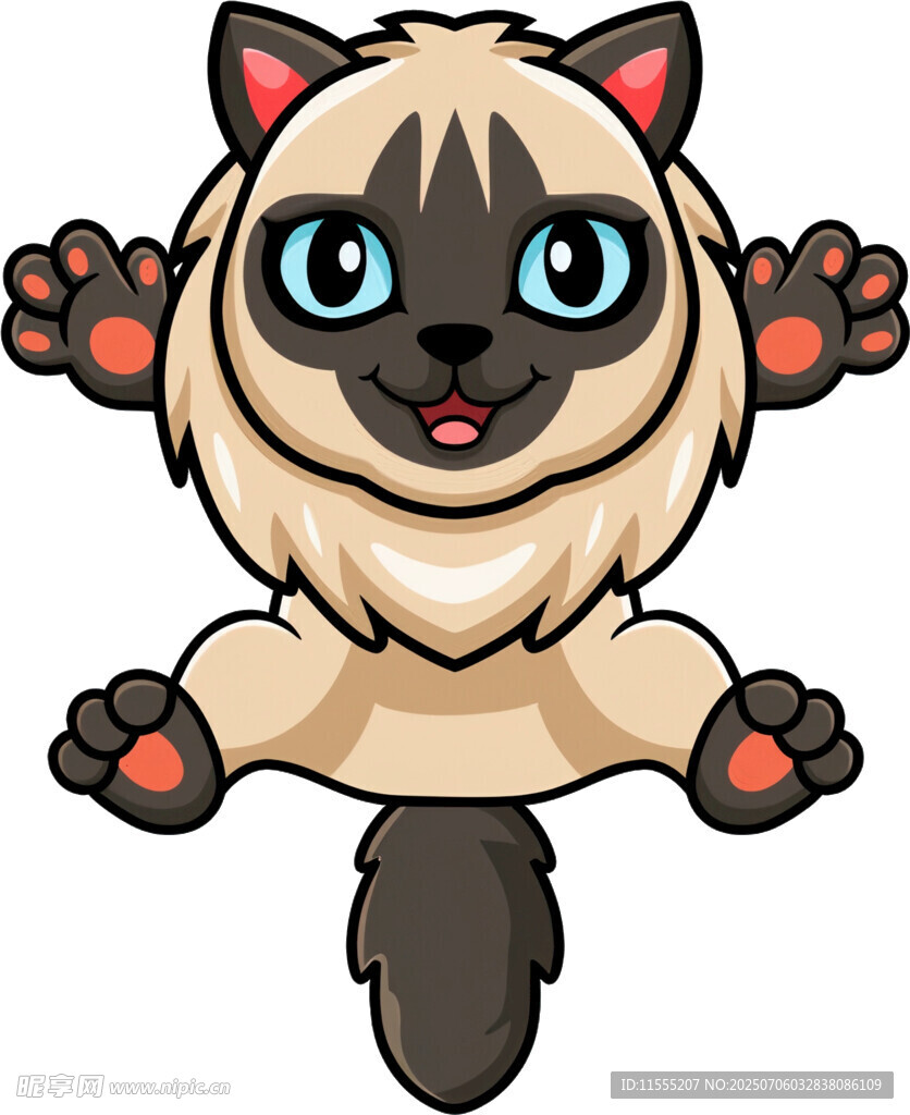 可爱暹罗猫跃起瞬间