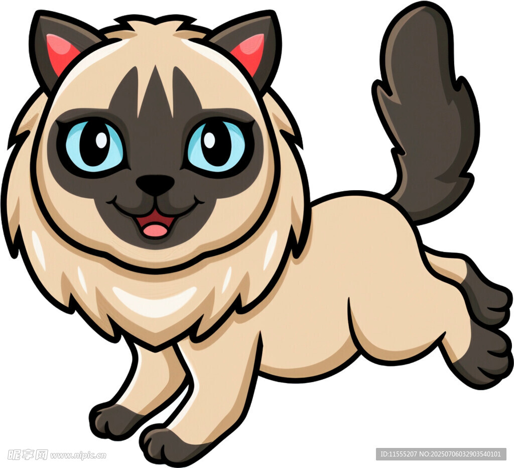 奔跑的可爱暹罗猫