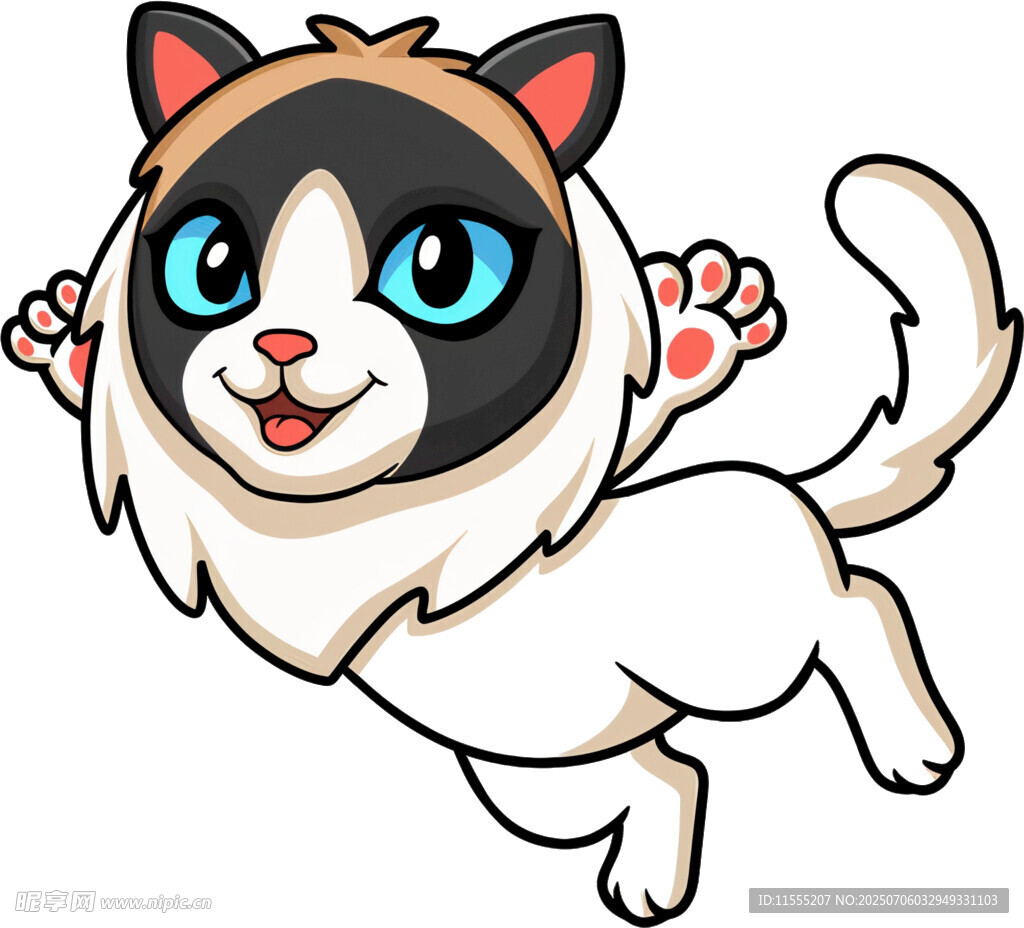 跳跃的可爱猫咪