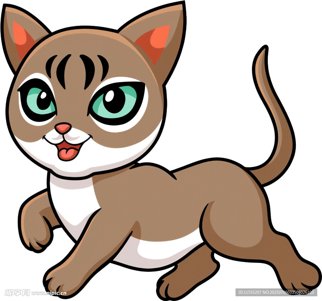 奔跑的可爱小猫