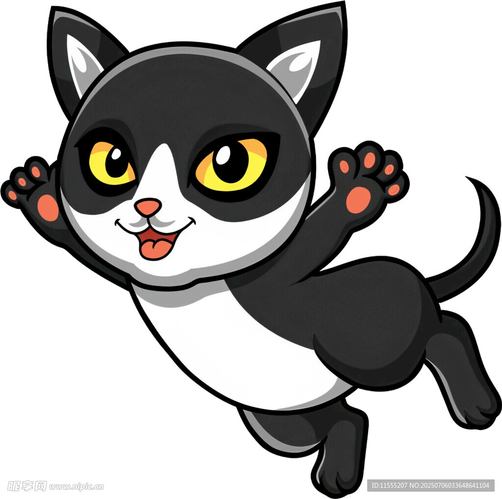 跳跃的可爱黑白猫咪