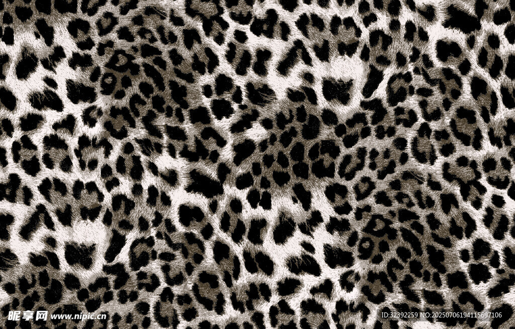 豹纹图案纹理背景