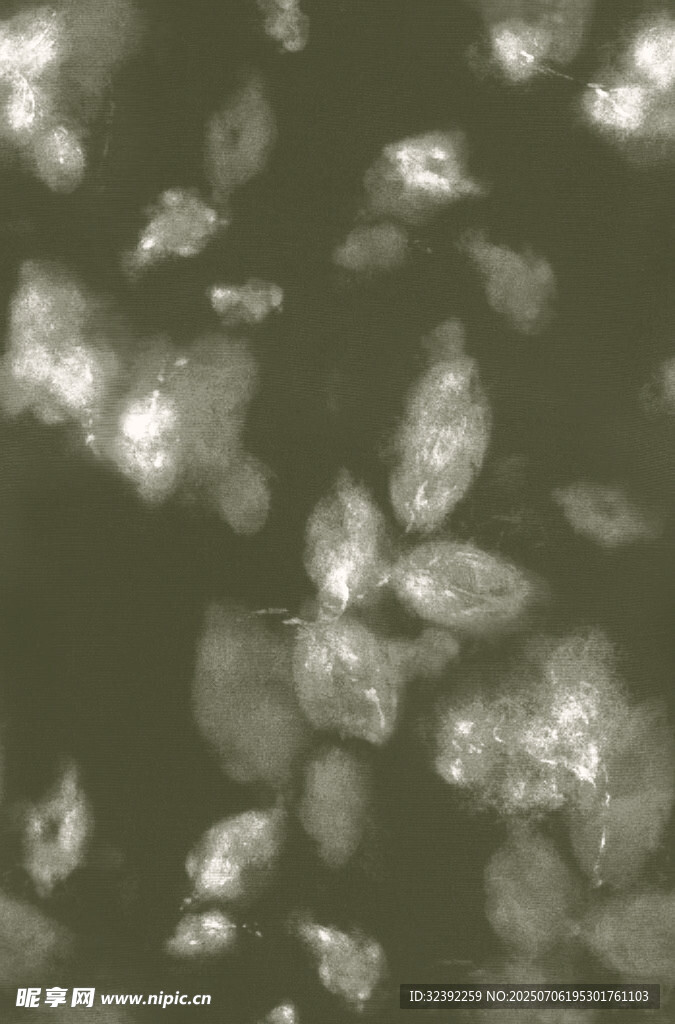 水中漂浮的斑驳树叶