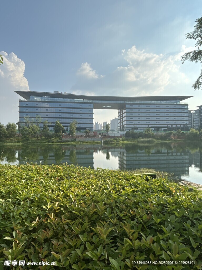 现代建筑与绿植景观