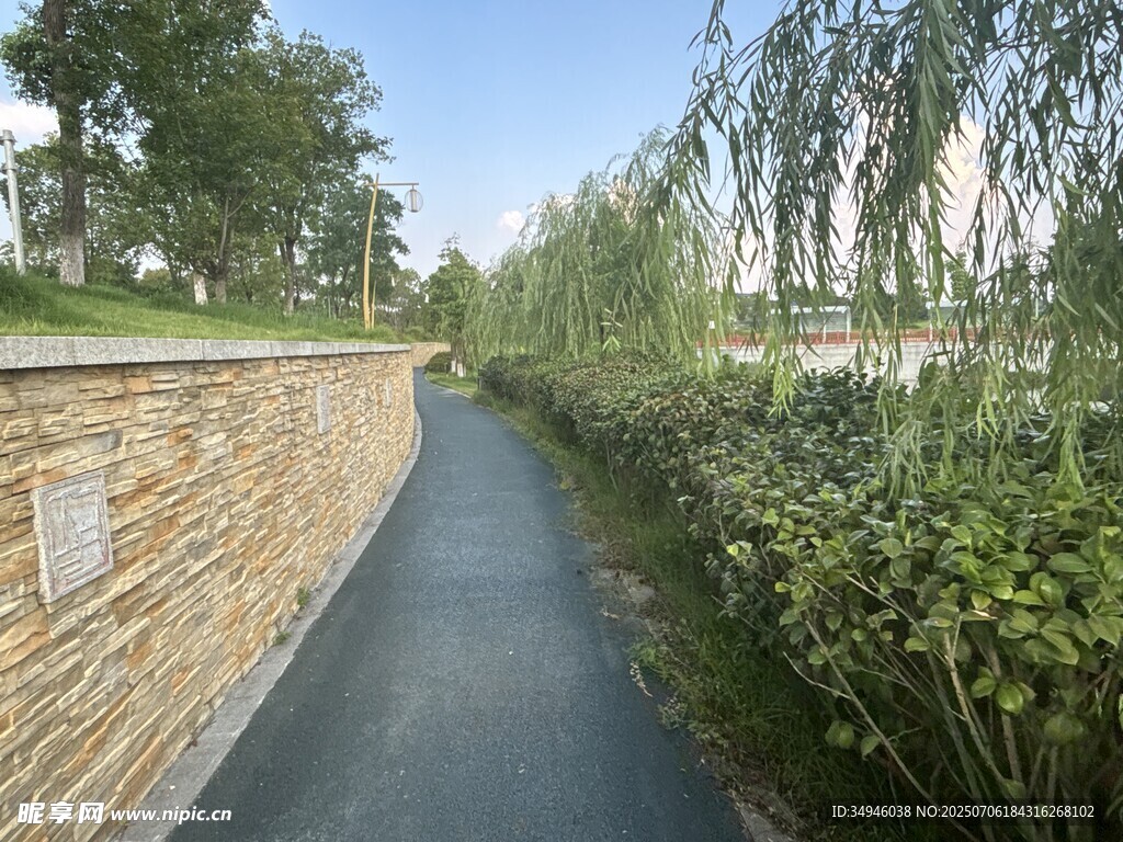 石墙边的清幽林荫小道