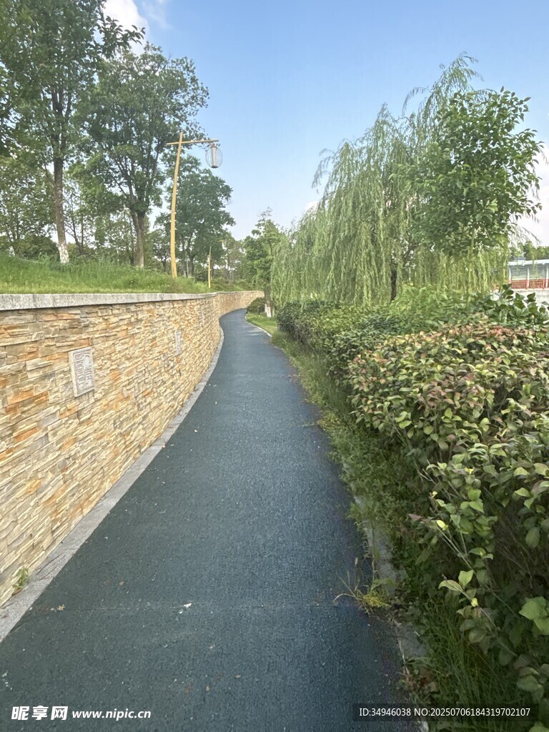 宁静小路旁绿植与砖墙相伴