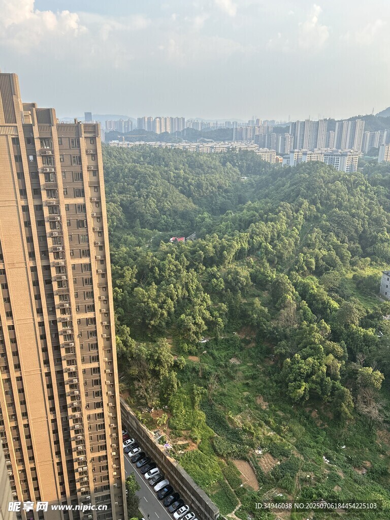 高楼俯瞰绿意盎然景观