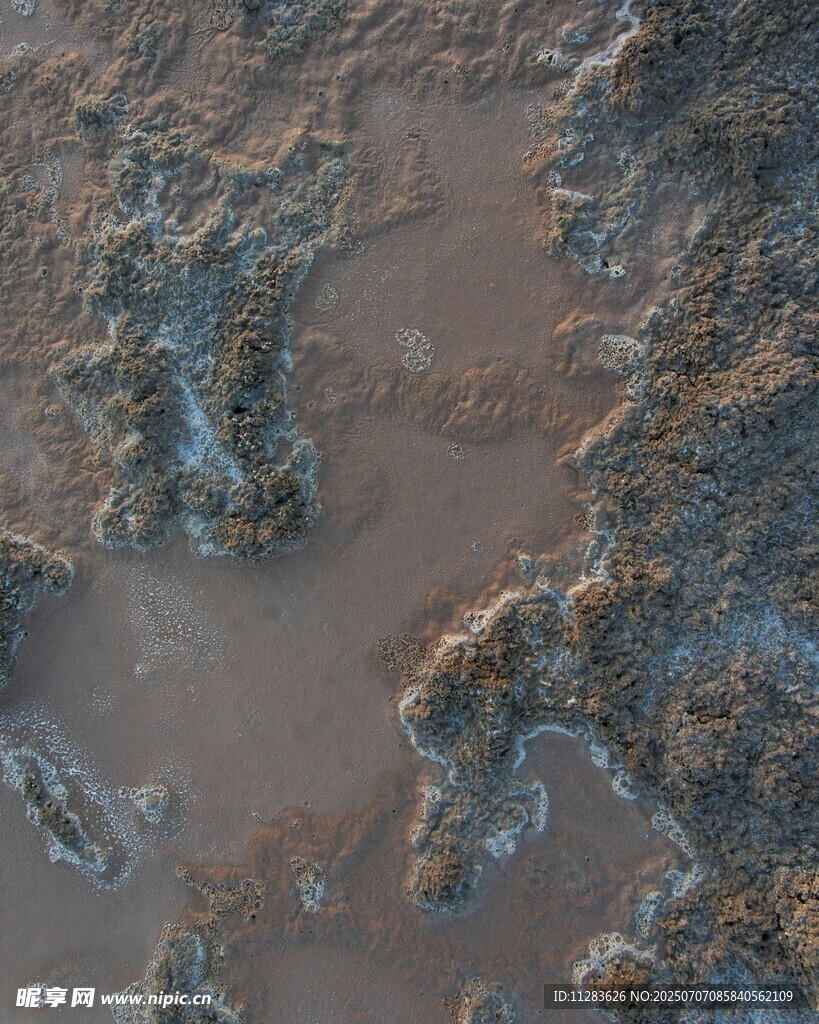 泥泞地面纹理特写