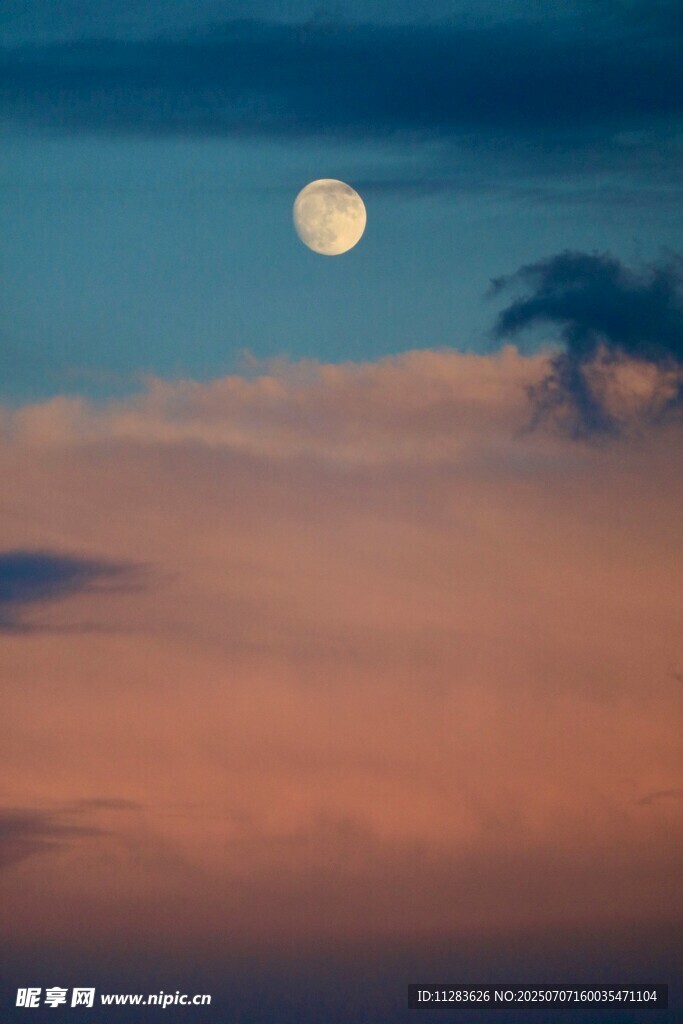 夜幕中高悬的皎洁明月