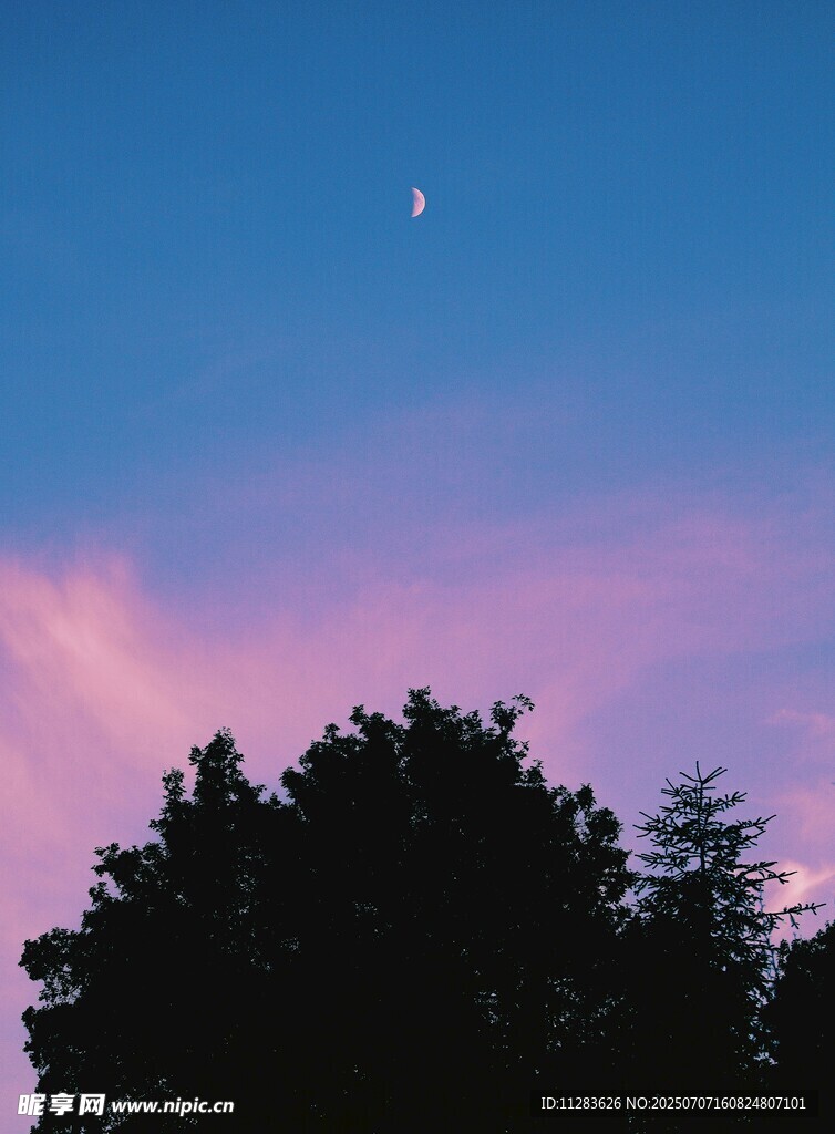 夜幕下的树影与天边弯月