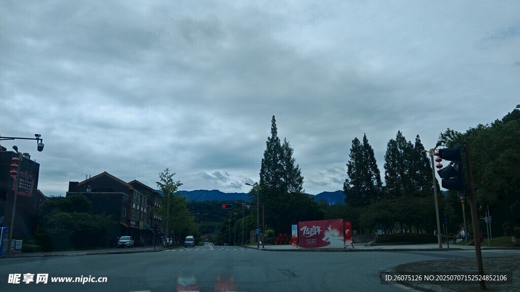 阴天城市街道与树木景观