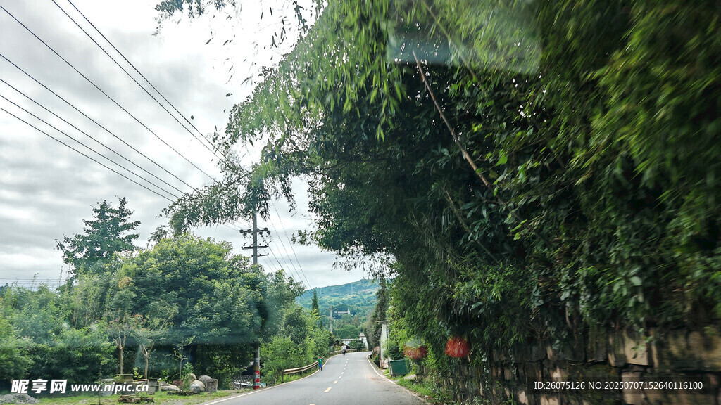 山间绿荫小道