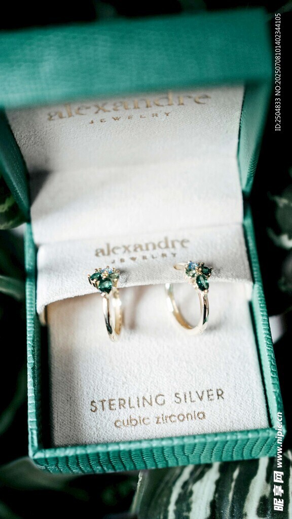 精致蒂芙尼耳环展示