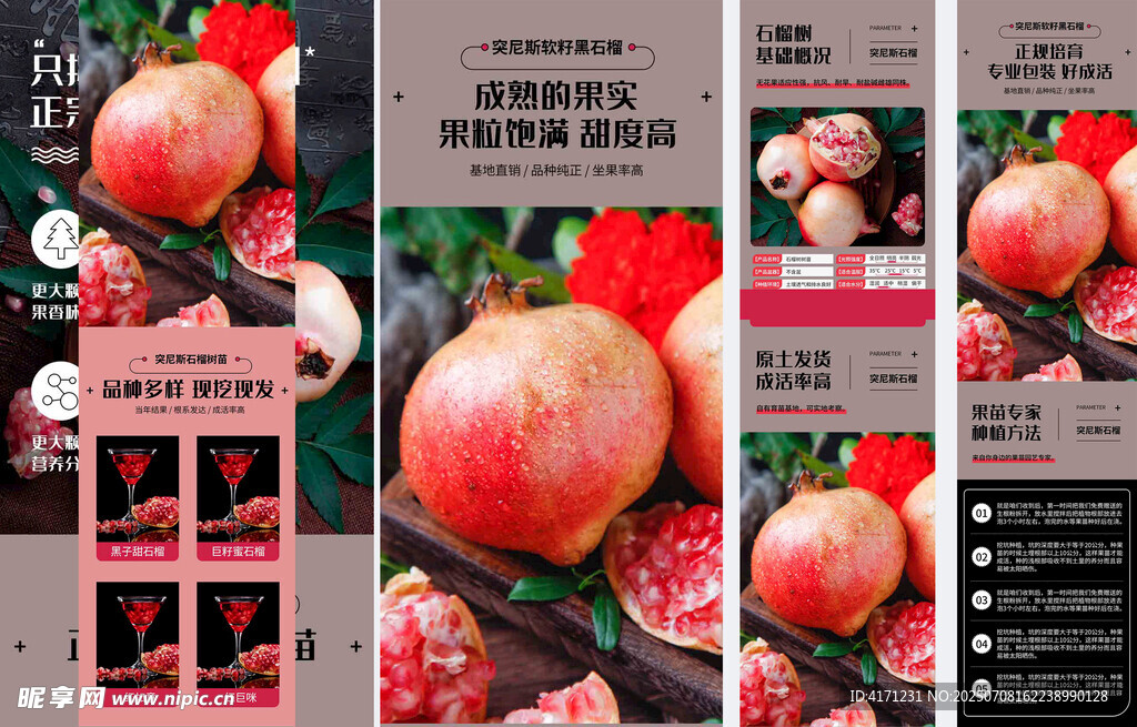 新鲜诱人的石榴及展示图