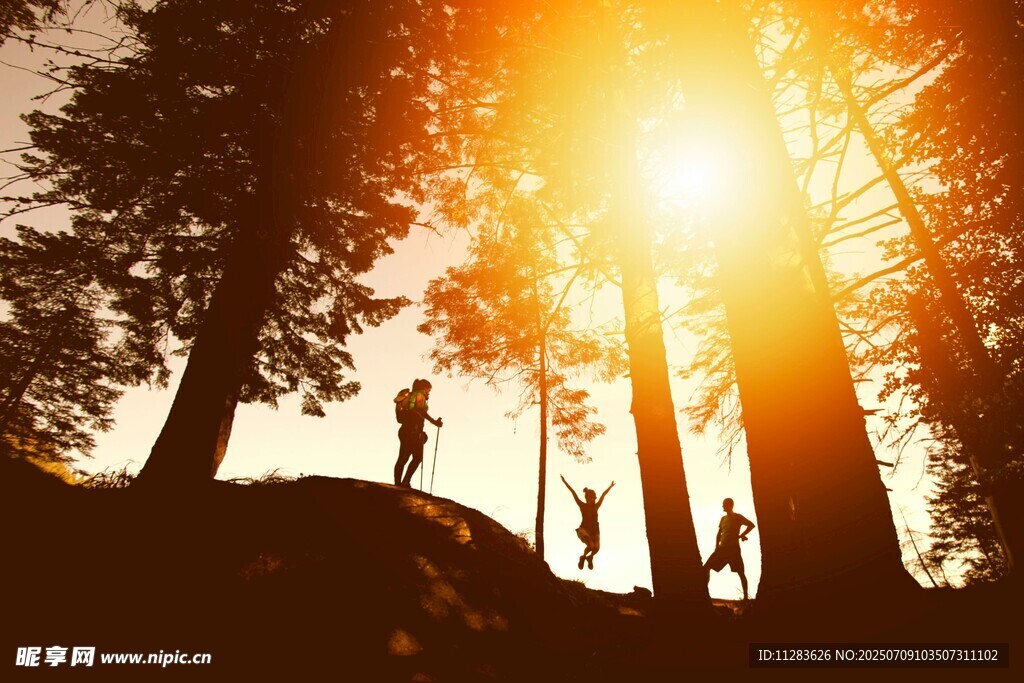 阳光山林中的徒步者