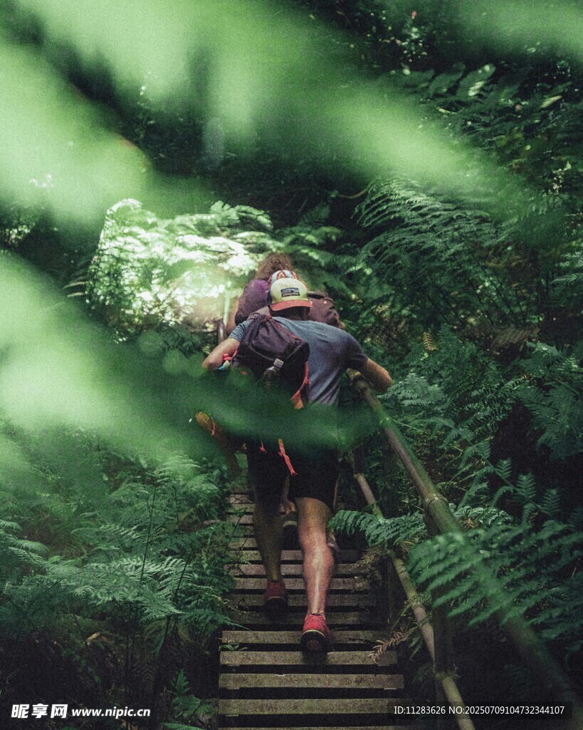 徒步者穿行于绿意盎然小径