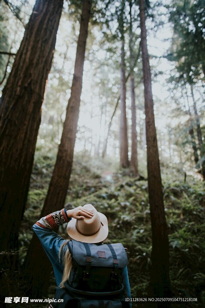 徒步者在森林中眺望远方