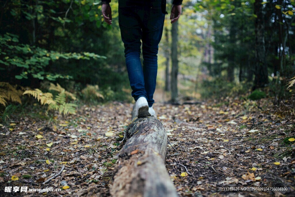 漫步林间原木小径