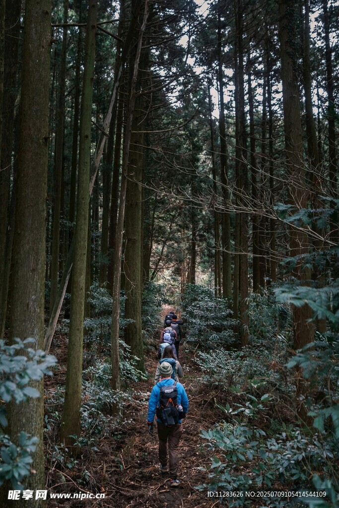 森林中徒步的背包客