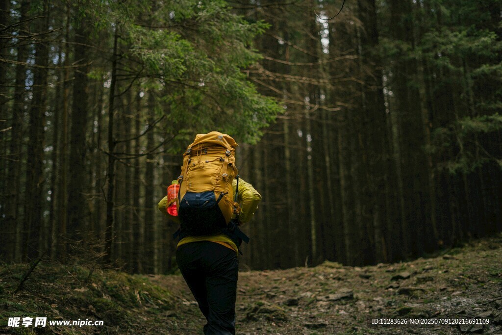 森林中背着背包的徒步者