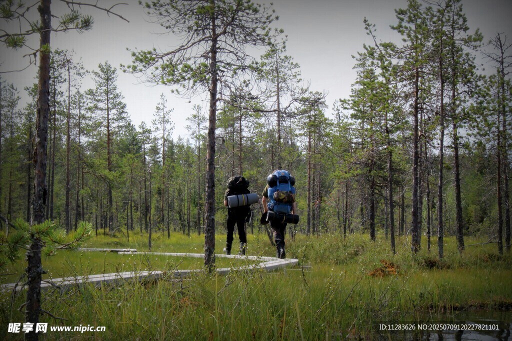 两人林间徒步之旅