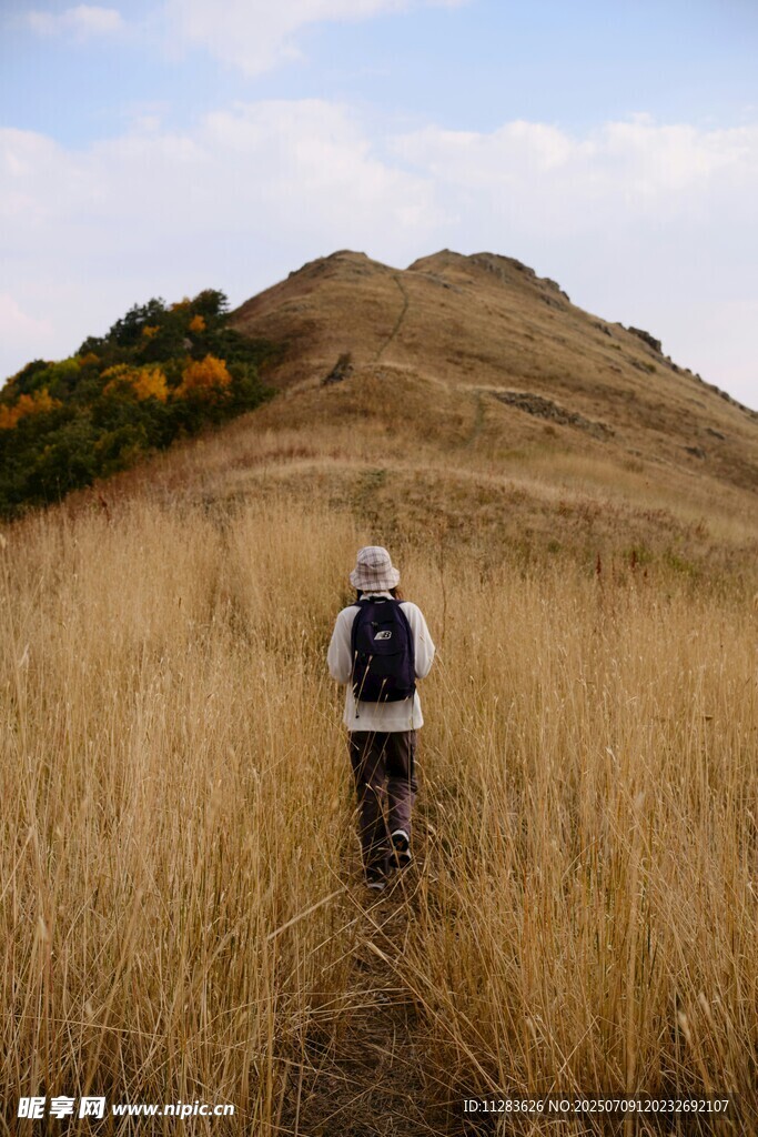 徒步者穿行于金黄草丛间