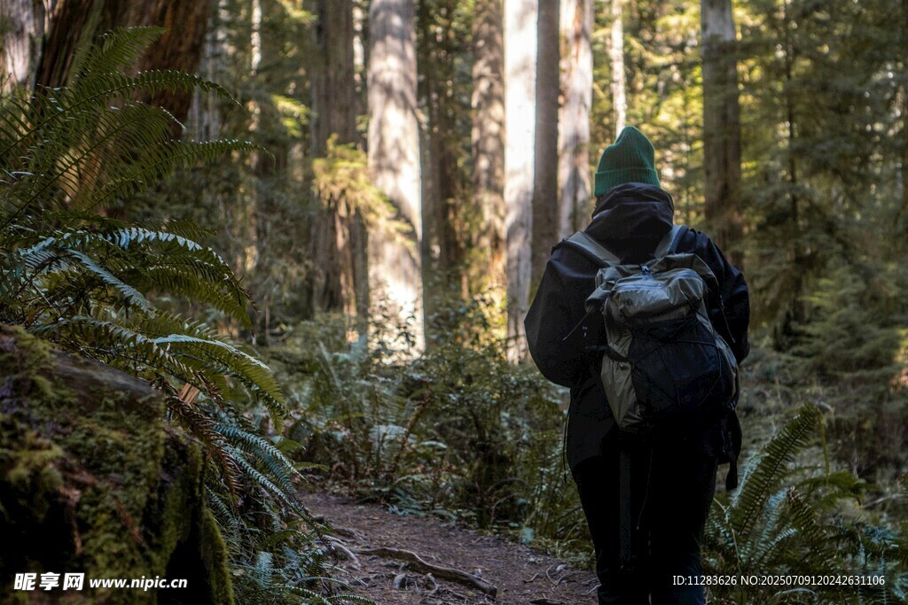 森林中徒步的背包客